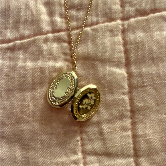 NWT Altar'd State Gold Oval Locket Pendant Necklace - Picture 6 of 6